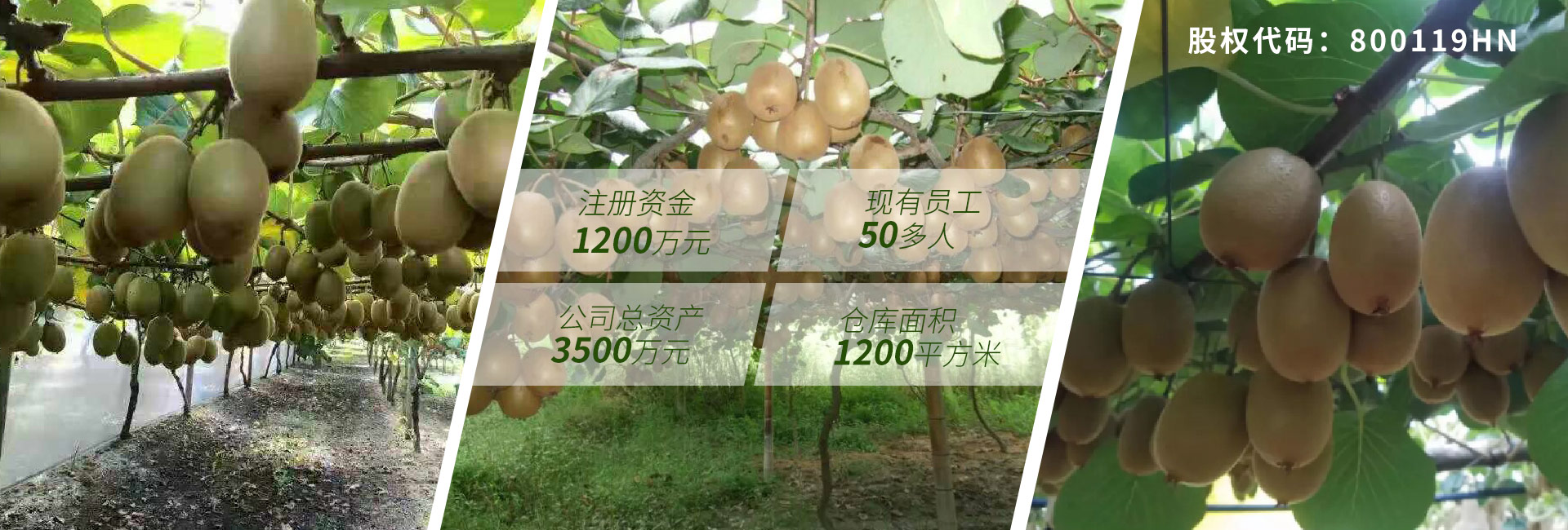 美味佳瑤 美味佳瑤